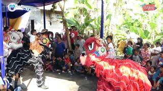 Download lagu Rangda Nglibir - Burok MJM Live Pabuaran Wetan 16/12/2019 mp3