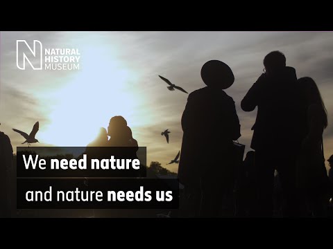 Reflections from Dippy on Tour: why we must protect our natural world | Natural History Museum
