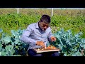 નવું ફાસ્ટ ફૂડ નિકુંજ વસોયા દ્વારા Navu Fa