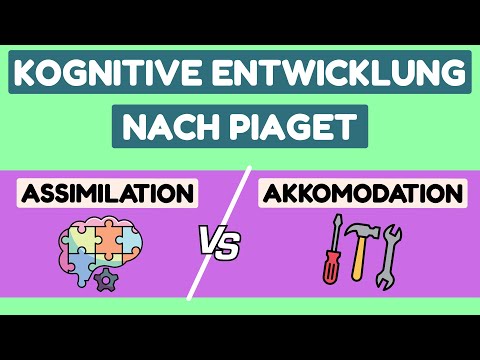 Kognitive Entwicklung nach Piaget - Assimilation vs. Akkomodation