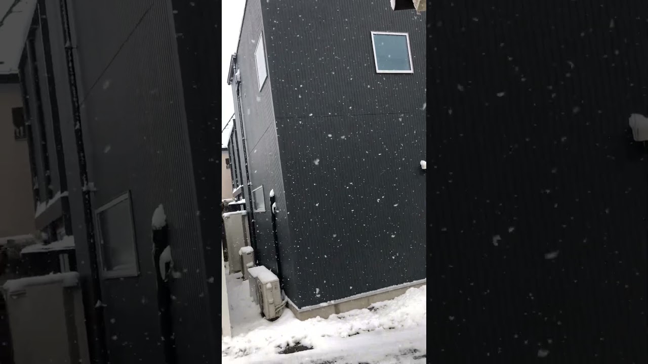 東京府中市の雪の様子(令和8年2月8日9:45ごろ)