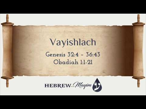 08 Vayishlach, Aliyah 7 - Learn Biblical Hebrew