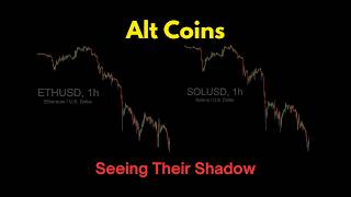 Alt Coins: Seeing Their Shadow