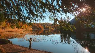 Laura Veirs - Dorothy of the Island