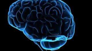 Metronomy- Heartbreaker. Lyrics.