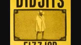 Didjits - Jerry Lee