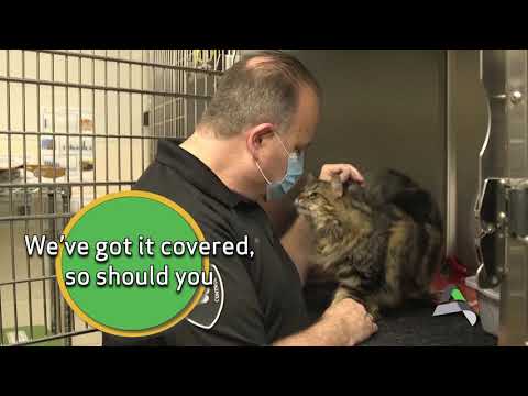 We've got it covered!