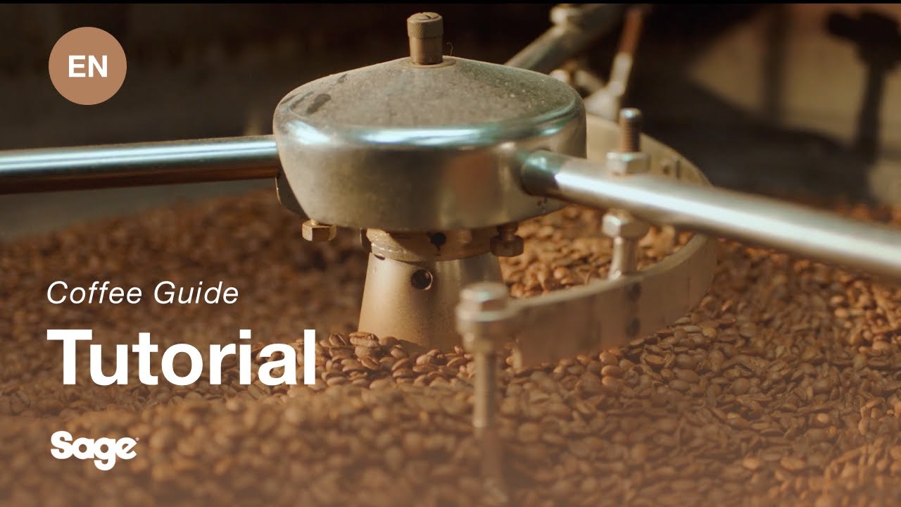 Breville coffee guide tutorial - How to use the Smart Grinder™ Pro