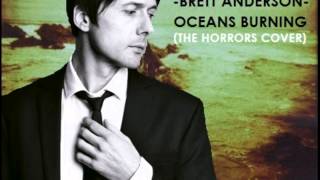 Oceans Burning -Brett Anderson (The Horrors cover)
