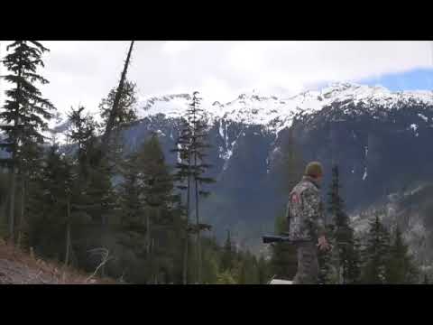 NEW Canadian Veteran Scientist Has A Face To Face  Encounter