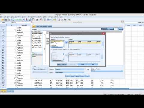 IBM SPSS Statistics Custom Tables module