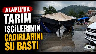  Alaplı’da Tarım İşçilerinin Çadırlarını Su Bastı