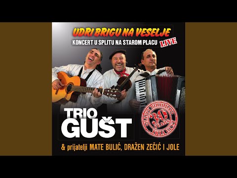 Da Je Meni S Tobom Kroz Pasike