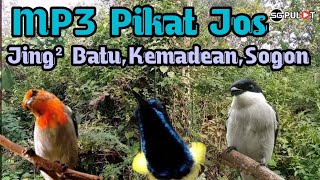 Download lagu Terbaik‼️,JingJing Batu,Sogon,Kemade Liar Pasti Klepek² (Suara Pikat) mp3 Download lagu Terbaik‼️,JingJing Batu,Sogon,Kemade Liar Pasti Klepek² (Suara Pikat) mp3