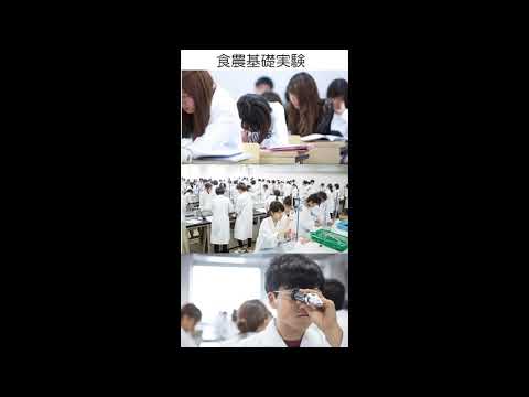 国際食料情報学部 国際食農科学科