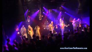 SINGLE ENTENDRE by HERE COME THE MUMMIES - HD from UNDEAD LIVE DVD