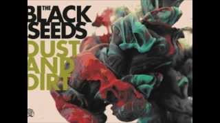 The Black Seeds - Settle Down.wmv