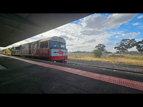 5PM9 SCT up "Dark Ghost" (6 locos, 81P), Forrestfield to Laverton, 1820, 18/1/26, Horsham VIC