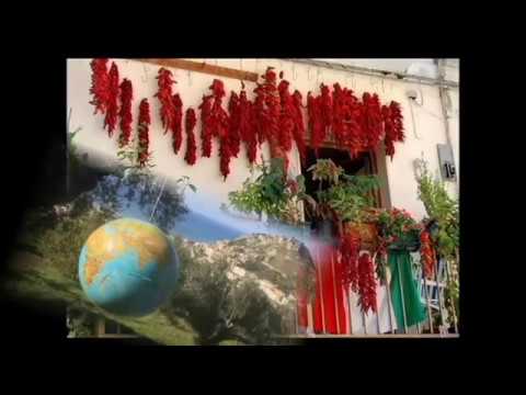 In Search Of The Lost Language  ( My Amantea )