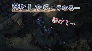 【実況】Bloodborne (part03) 兄妹でアクションをするとこうなる…