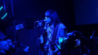 The Fuzztones - Hurt on hold - live @ Blah Blah, Torino, 14/11/2017