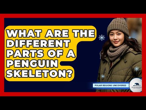 What Are The Different Parts Of A Penguin Skeleton? - Polar Regions Uncovered