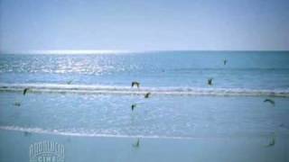 Cantores de Hispalis - Por la bahía