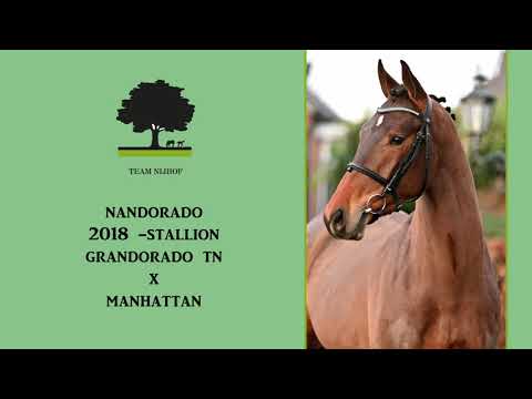 Nandorado