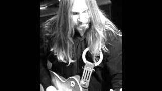 "Sunshine Boogie (Theme from "The Lowdown Hoedown")  Greg Martin