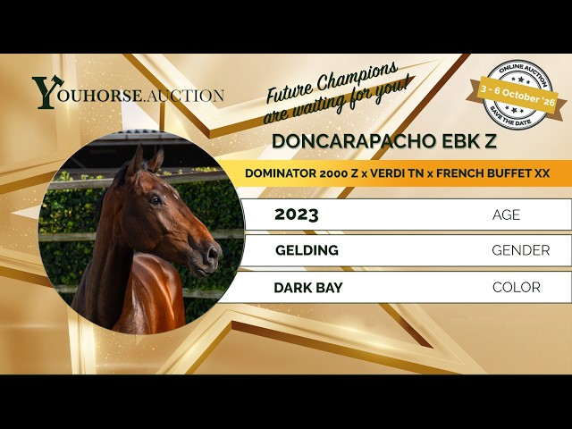 Doncarapacho EBK Z