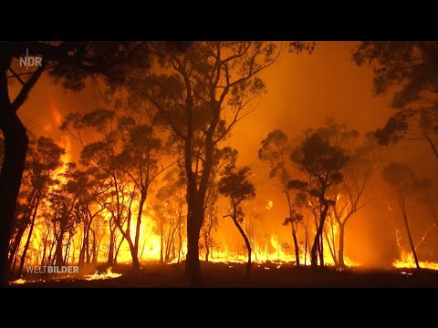 Inspektah - Bequem (prod. Timb028)