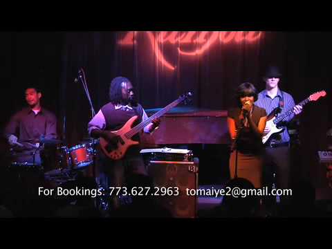 Alpha Clef Lions Tigers Bears