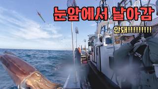 제주 심해 갑오징어 낚시 조황 | 다 안 나올 때 나만 연타쳤다 | 서귀포항 어신호 🛥️