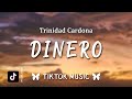 Trinidad Cardona - Dinero (TikTok Remix)(Lyrics) 