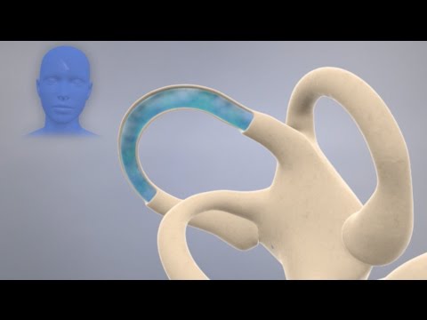 How the Inner Ear Balance System Works - Labyrinth Semicircular Canals