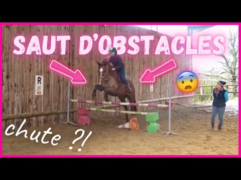 [COURS] Saut d'obstacles ! CHUTE ? 30/01/21 - CS'o Landreau