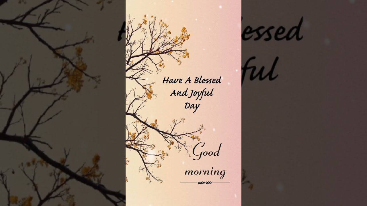 Good Morning Blessings ❤