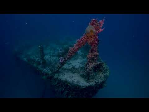 The Florida Keys: A Wreck Wonderland for Divers
