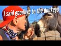 I SAID GOODBYE TO THE DONKEYS  - The Amorgos  Winery-Distillery