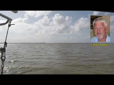 Saco de Tapes & Pau do Hugo 02   Tau Golin