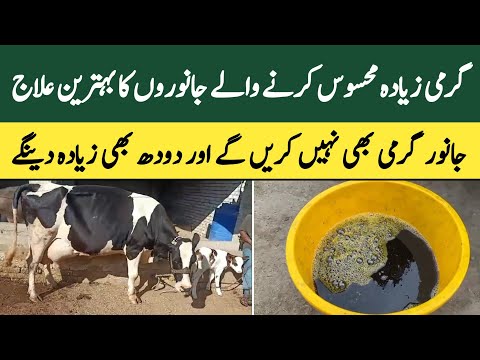 Janwaron ko heat stroke say mehfooz rakhny ka tarika