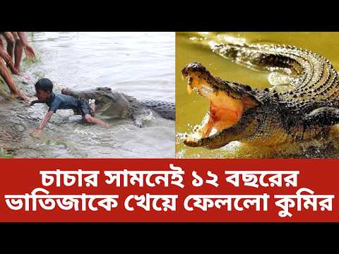 ১২ বছরের শিশুকে টেনে নিয়ে গেল  কুমির,  ভিডিও ভাইরাল । Crocodile । Viral Video