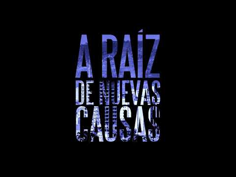 A Raíz De Nuevas Causas - Valencia Hardcore