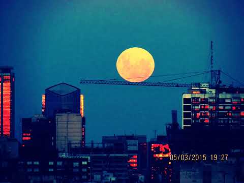 Conferencia de los patos salvajes, trío con Harari y Toto en 2006