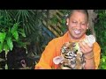 Yogi Adityanath West Bengal Whatsapp Status