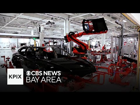 Tesla Announces Major Layoffs in the Bay Area: What Does This Mean for the Company?