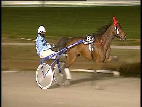 Trotto 08/01/2019 - 6ª corsa