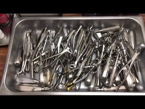 Man charged with practicing dentistry in basement