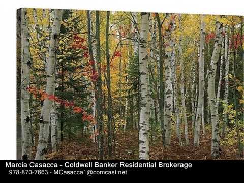 711 Massachusetts Ave, Lunenburg MA 01462 - Land - Real Estate - For Sale -