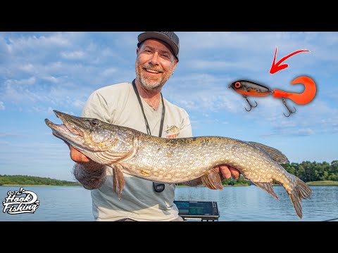 Pike fishing with Svartzonker – Testing NEW Baits!